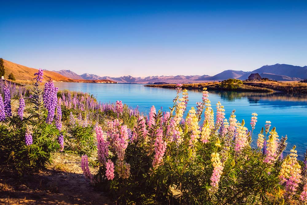 Lake Tekapo in New Zealand