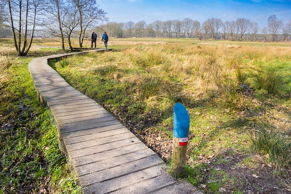 Pieterpad walking trail in the Netherlands