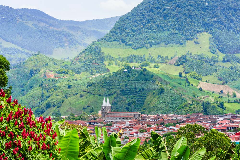 Beautiful aerial view of Jardin