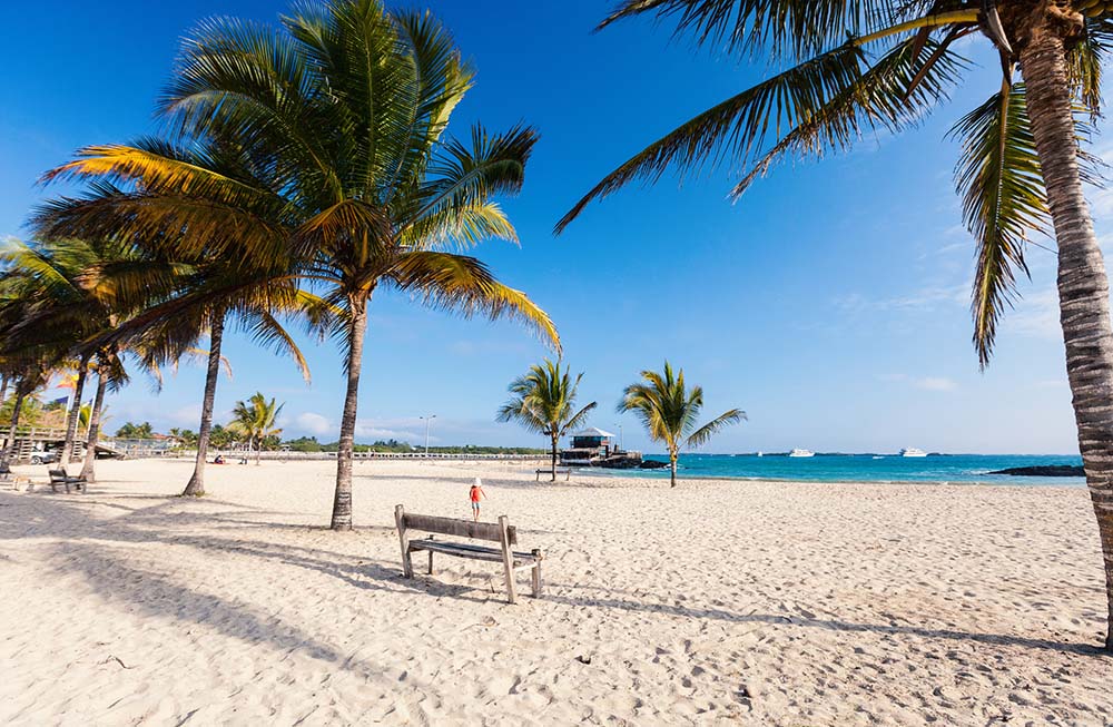 Isabela in the Galapagos