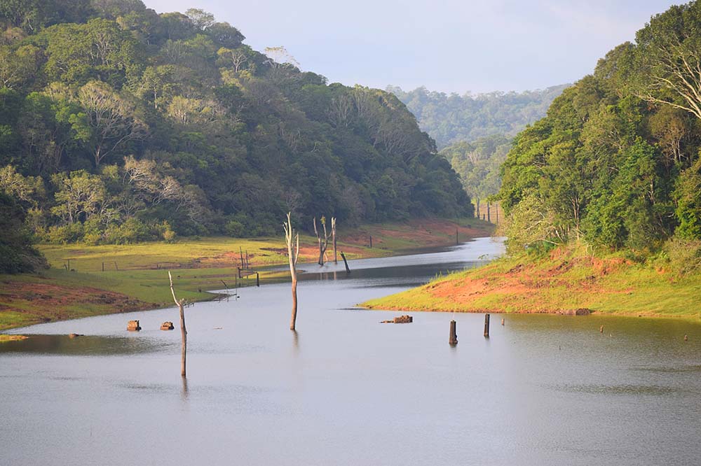 Landscape of Periyar National Park