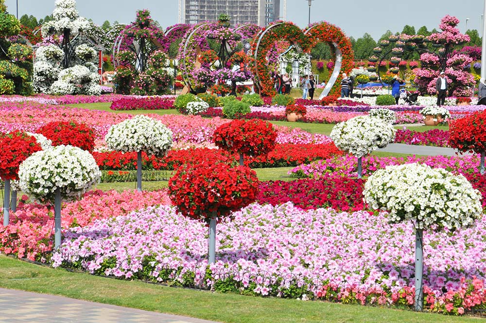 Dubai Miracle Garden