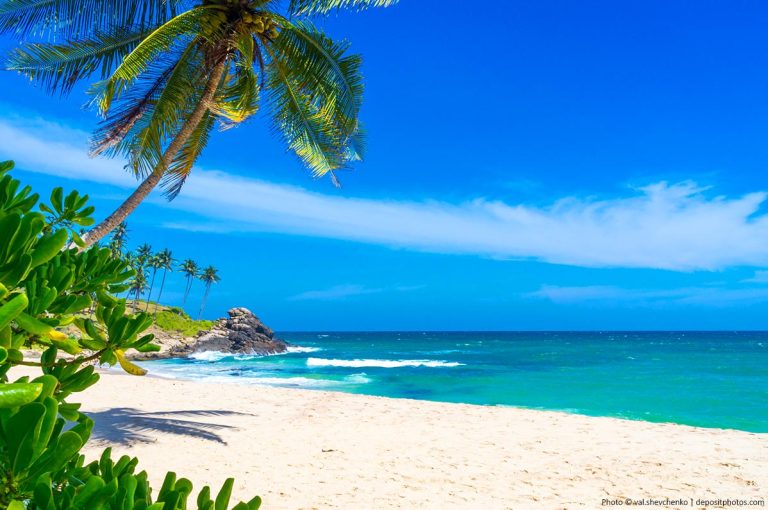 7 Most Beautiful Beaches in Sri Lanka