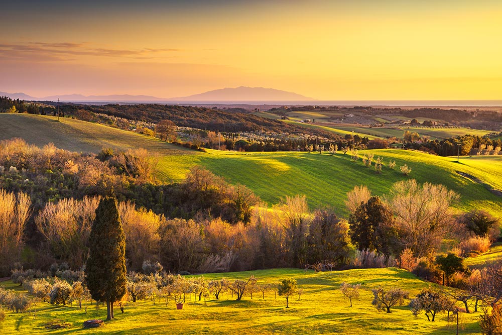 Maremma landscapes