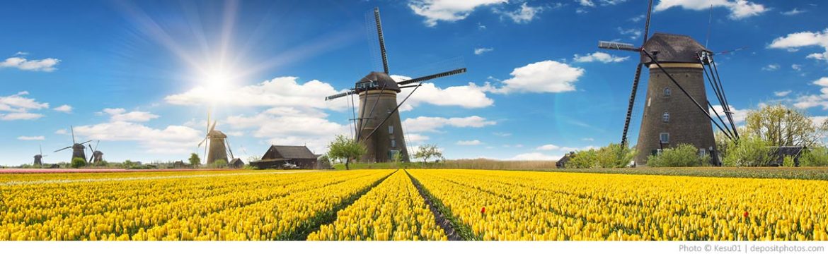 Netherlands Netherlands Tulips and Windmills