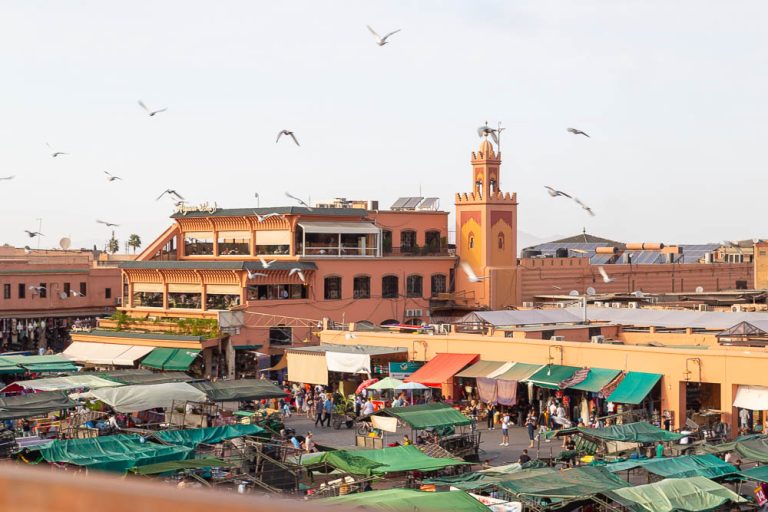 8 Best Things to Do in Marrakech Marrakesh medina